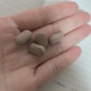 은혜중학교 | 종아리 보톡스 후기 결국엔