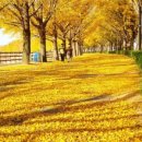 탕정면로8번길+탕정면로22번길 이미지