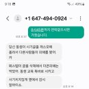 홀리마카로니 이미지