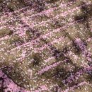 스마트폰 왕초보 | [공지] 부산 스마트폰 취미 사진 입문 수업 (왕초보)