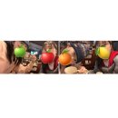 쉼표약국 | 2(부제:학교가는 버스에서 보면 좋을듯합니다 *_*)