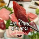 장보고참치 이미지