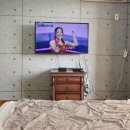 더모스트 | 태안펜션 갯벌체험가능한 청포대 &#39;더모스트펜션&#39;