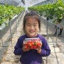 김주원농장 이미지