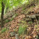 용와산성 이미지