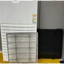 힘찬 태권도장 이미지