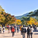 설악산과동해바다그리고온천 이미지