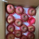 펀치볼드림농원