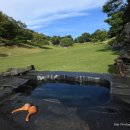 푸른잔디 이미지