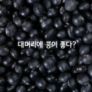 콩이콩이