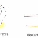플로라필라테스