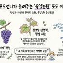 육일농원