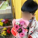 마산삼성어린이집 | [마산꽃집 추천] 마산 합성동 꽃집 얀별은하수 :: 미니 꽃다발 후기