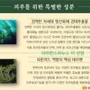 진아화장품 - 고성군 중앙로 26 | 진아화장품