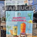 트루오더