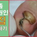 레푸스상무점