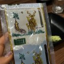 The 미웨이 부산시청본점 | 부산시청 족발맛집 족발이다 방문후기 ft. 내돈내산 연산동 족발맛집
