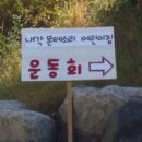 내각몬테소리어린이집 이미지