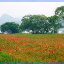 삼척해수욕장 이미지