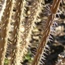 오피피시방 이미지