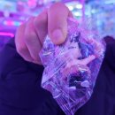 행복인형뽑기 | 경북대 북문 인형뽑기 보글보글 내돈내산 후기 귀칼 피규어 있음!