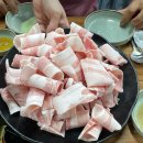 착한꽃대패 이미지