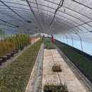 순화농장 이미지