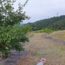 동면교차로 이미지