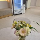 대구다이어트, 수액 프로그램으로 건강하게 체중감량 시작했어요 (30대 직장인 리얼 후기)