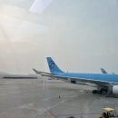 르상트레빌 작은도서관 | [나트랑 태교여행 #1] 대한항공 프레스티지 KE467 후기, 라운지와 기내식, 가성비 좋은 르모어 호텔