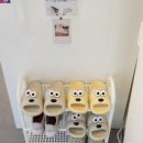 [구월동 속눈썹연장] 구월동 쏘블링뷰티에서 연장하고 인형속눈썹되기