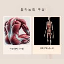 밀라노짐 구성점 이미지