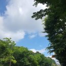클링클링세탁소 이미지