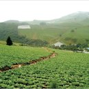 대기리마을 이미지