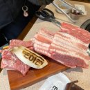 도야집