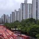 신나무실육교 이미지