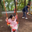 더숲애플트리어린이집 | 🌳가을 향기 가득한 애플트리 숲나들이🌼