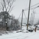 진안 hami숲 이미지