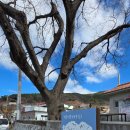 유배문학관 야외(구운몽호) | 문학의 섬 남해 노도와 구운몽