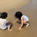 마더하우스민박
