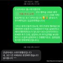 펫마루 | [홍천 애견동반 숙소][내돈내산]스테이펫 풀스테이 홍천 후기 &lt;25평 마루&gt;with 똥파리🪰│와디즈 펀딩 방법