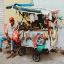 coco(코코) 이미지