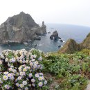 오태중학교 이미지