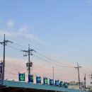 [강원 삼척시] 삼척 여행 회 포장은 무조건!! 삼척항활어회센터 ‘오양수산’