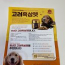 금산홍삼사료 이미지