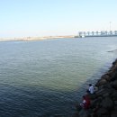 오이도종합어시장 이미지