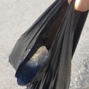 동보수산 이미지