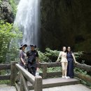 (주)맞춤투어 | 중국패키지여행, 대형여행사가 답일까?｜충칭여행 맞춤단독투어 준비과정, 견적비교 후기 | 블랙래빗투어