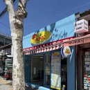 피크닉테이블 | 망원한강공원 <헬로우피크닉> 텐트 대여 (돗자리, 캠핑의자, 테이블) 내돈내산 솔직후기