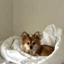 자기에 그린 그림(핸드페인팅) | 방배동 올리브그린 화실🎨 아크릴 원데이클래스 후기🖌️ 직장인 취미추천